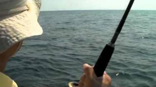 Катушка shimano baitrunner d 8000