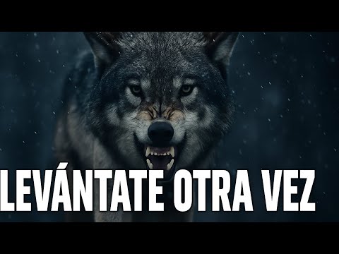 Reflexión de un lobo 🐺 : Nunca Es Tarde Para Empezar De Nuevo
