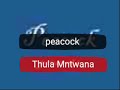 Peacock Thula Mntwana