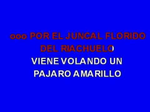 KARAOKE PAJARO AMARILLO