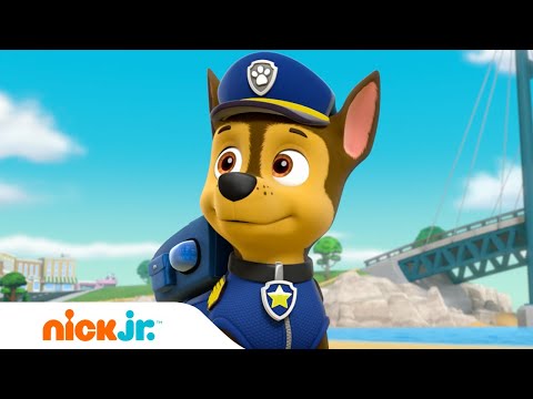 Capa de Patrulha Canina | A Patrulha Canina Vai a um Festival de Cinema! 🎥 | Nick Jr. em Português