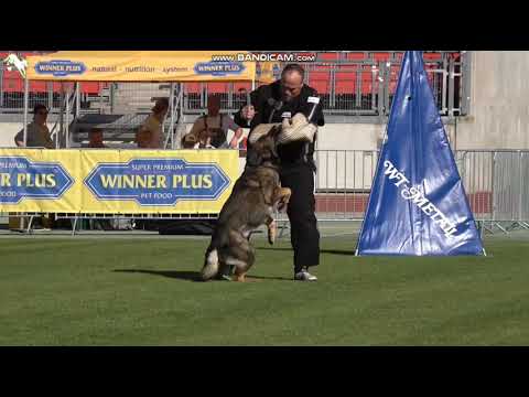 1141 Untox von Gebrüder Grimm - TSB BSZS-2023