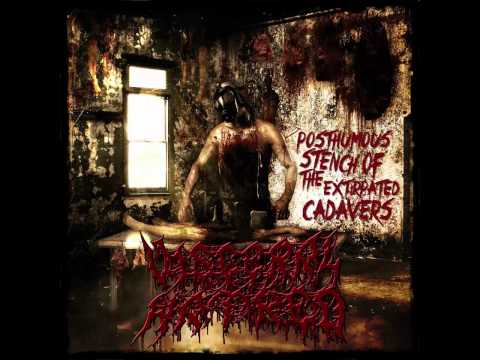 Visceral Hatred - Posthumous Of The Extirpated Cadavers [Full Album Stream]