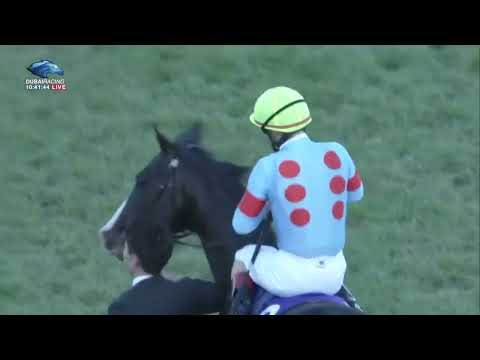 2022.12.25 Arima Kinen (The Grand Prix)(JPN) - Equinox