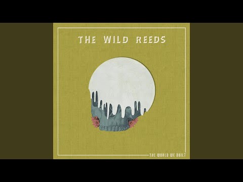 Patience - The Wild Reeds