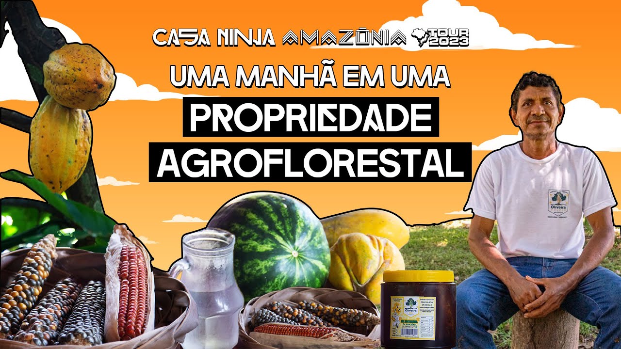 Você sabe como é uma manhã em uma propriedade agroecológica? | Casa NINJA Amazônia Tour