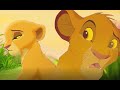 Tears Over Bears