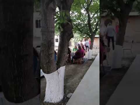 Fanfara lui Raducu de la Valea Mare  nunta 2