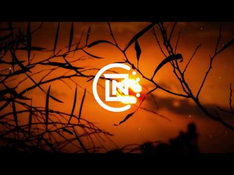 DJ ASSASS1N - Frag Out