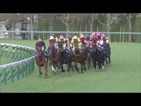 2018 Oka Sho (Japanese 1000 Guineas) (G1)