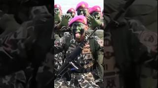 Download lagu Yel-yel Bintara muda korps marinir Republik Indonesia #tni #marinirindonesia #fyp mp3