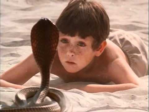 The Black Stallion- Cobra Scene