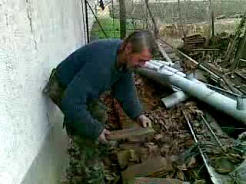 GoldenVakond’s Video 149102940730 9bd7tehXlOI