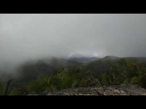 el yunque 4