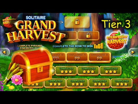 Completed 3 Stars in Tier 3 of Golden Reed (Solitaire Grand Harvest - GG.GR T3)