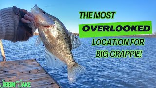 CRAPPIE WERE STACKED in this OVERLOOKED LOCATION! Bank FISHING for CRAPPIE