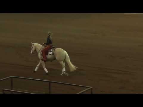 171015 Rookie Tristan Bagby on Im Gunna Shine