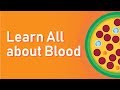 Learn All about Blood - Anatomy, Physiology, Composition, Function & Disorders