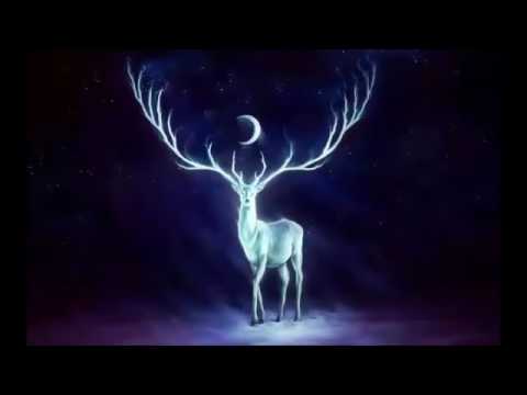 Stuart Wilde   How To Create Miracles In Your Life