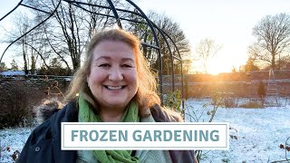 Gardening In The Snow, Primroses, Heucheras, Seed Sowing & A Mini Garden Tour // Cottoverdi