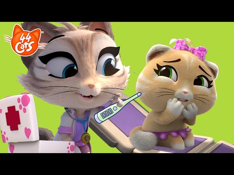 44 Cats | The puppy doctor | Pilou is afraid of the DOCTOR | Children's Educational Videos