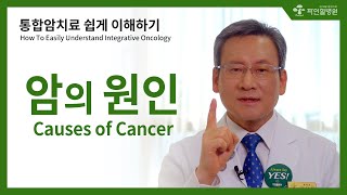 [김경란x파인힐병원 암토크] 통합암치료 쉽게 이해하기, 암의 원인