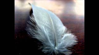 Bernard Lavilliers Attention Fragile.wmv