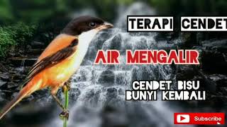 Download lagu TERAPI CENDET MALAS BUNYI¦¦AIR MENGALIR||DIJAMIN BUKA GACOR LAGI mp3 Download lagu TERAPI CENDET MALAS BUNYI¦¦AIR MENGALIR||DIJAMIN BUKA GACOR LAGI mp3