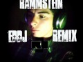 Rammstein - Sehnsucht (Eddj Remix) 