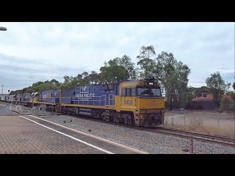 Pacific National Freight Train Near Mawson Lakes