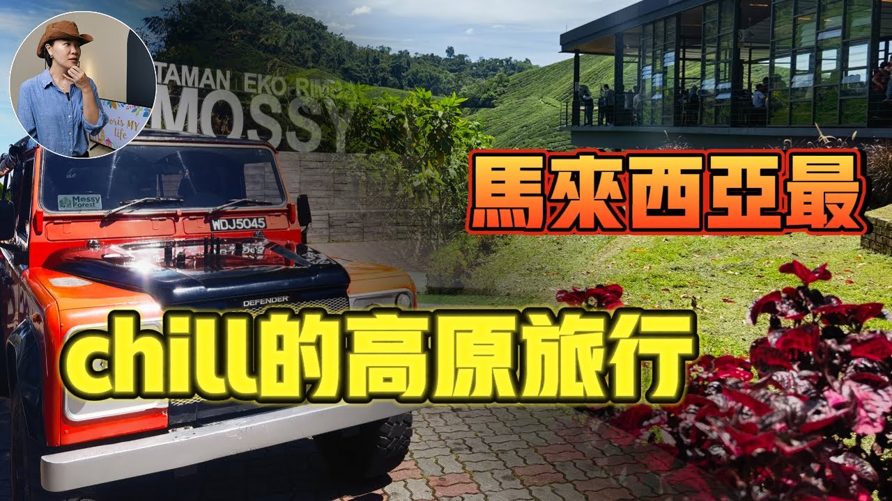 金马伦高原轻松游｜漫步苔藓森林、参观BOH红茶园｜Exploring Mossy Forest & BOH Tea Plantation｜Cameron Highlands Day Trip Vlog