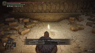 エルデンリングDLCをやる年単位ぶりの魔法剣士part1