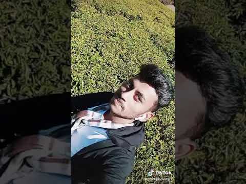 Poovarasu Ooty dairy