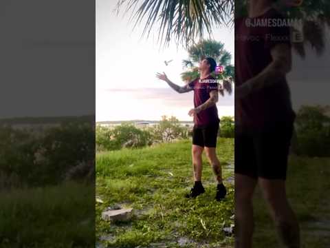 WHIRLWIND CHECK WEDNESDAY #kendamatricks #whirlwind #levelup #kendama