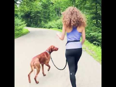 Handsfree Bungee Dog Leash