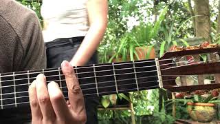 Yo te invito a caminar conmigo - Silvio Rodríguez Inédita