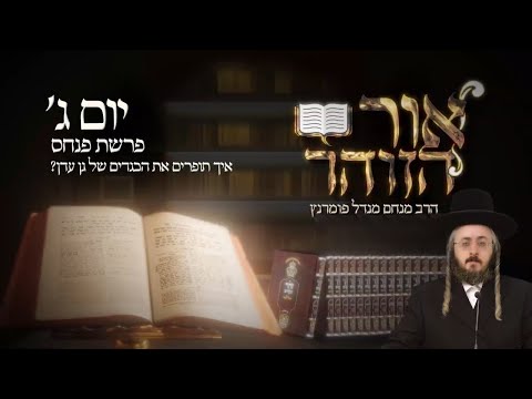 הזוהר היומי - יום ג' פרשת פנחס תשפ"ג