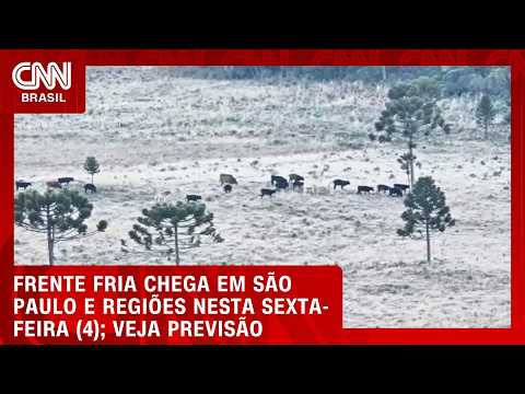 Nova massa de ar polar derruba temperaturas no Brasil com chance de neve | CNN NOVO DIA