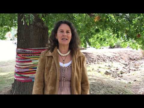 APC4 — Robin Clayfield