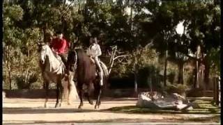 Caminos Diferentes Roberto Tapia