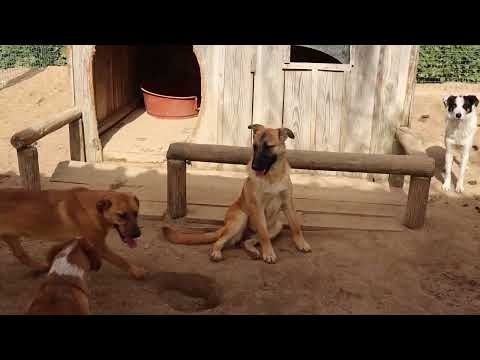 Vídeo de PUIK