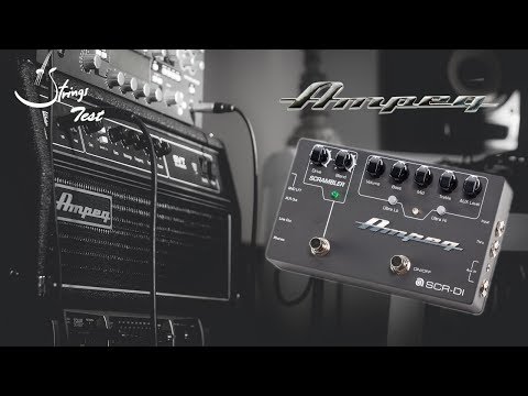 Strings Quick Test - Ampeg SCR-DI Demo