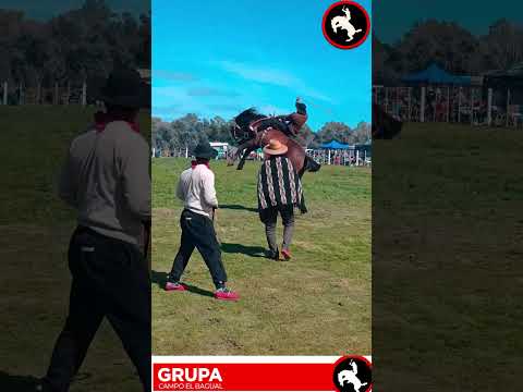 SEMANA DE CAMPO EL BAGUAL !! EL REY DE GENERAL LAS HERAS
