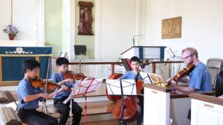 String Quartet No. 8 in F Major I. Allegro by W.A. Mozart