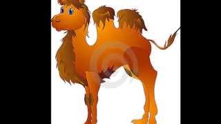 Visitar a minha tia em Marrocos.