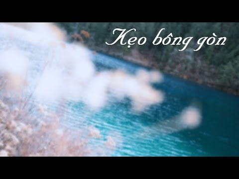 [Lời Việt] Kẹo bông gòn  - Top Combine