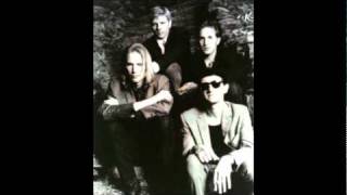 Dream Syndicate                                              Still Holding On To You