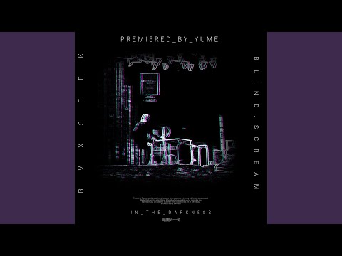 In the Darkness (feat. BVXSEEK)