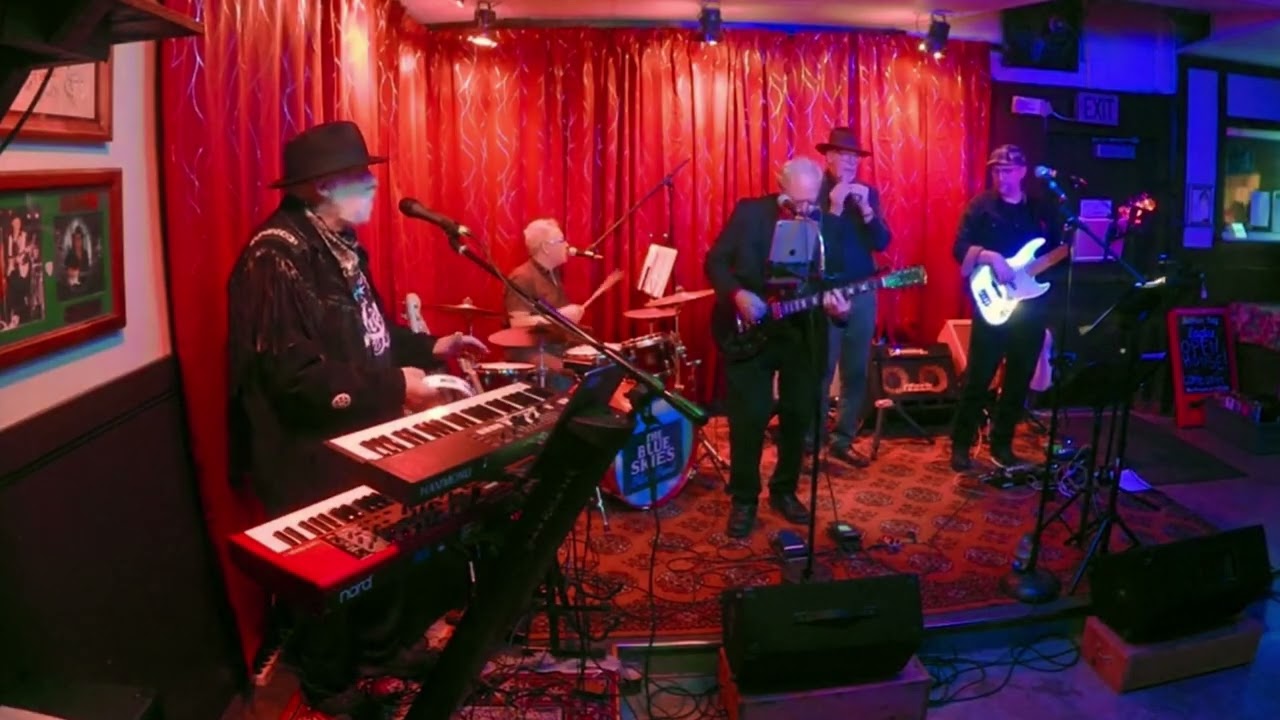 Promotional video thumbnail 3 for The Blue Skies Blues Band