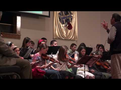 D0285 Orchestra - Scumpa tara